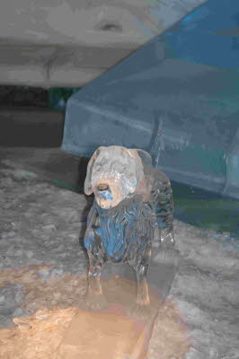 Eiswelt_Rostock_2018_0015