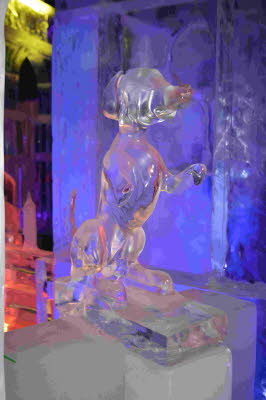 Eiswelt_Rostock_2018_0027