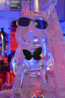 Eiswelt_Rostock_2018_0076