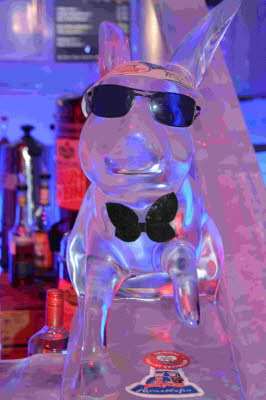 Eiswelt_Rostock_2018_0077