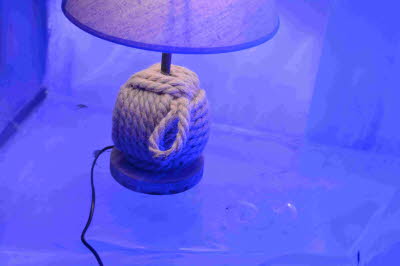 Eiswelt_Rostock_2018_0104