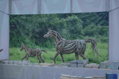 Sand_Europa_Binz_2018_0221